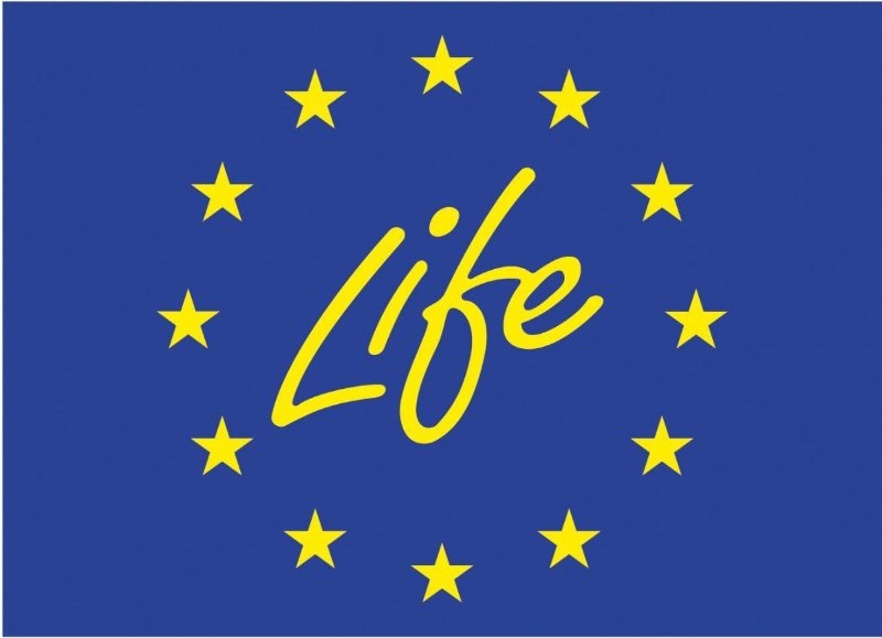 life flag