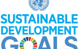 Sustainable_Development_Goals_logo.svg